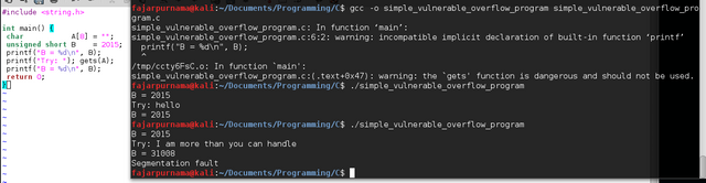 My Simple C Program Demonstrating Buffer Overflow